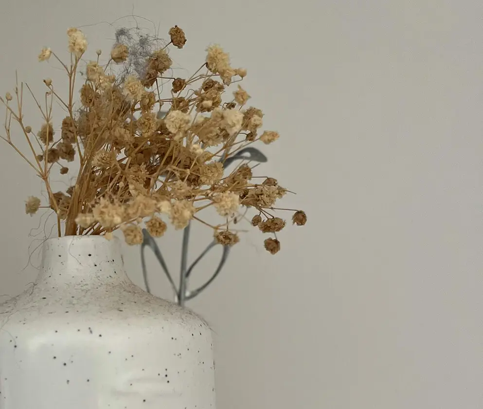 Eco-Friendly Home Decor Choice